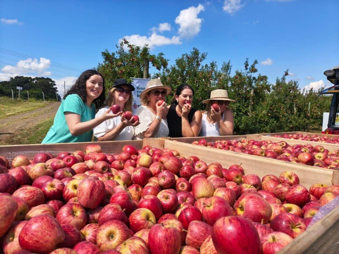 Read more about the article Abertura da Colheita da Maçã 2026 destaca força econômica do setor e potencial turístico da região