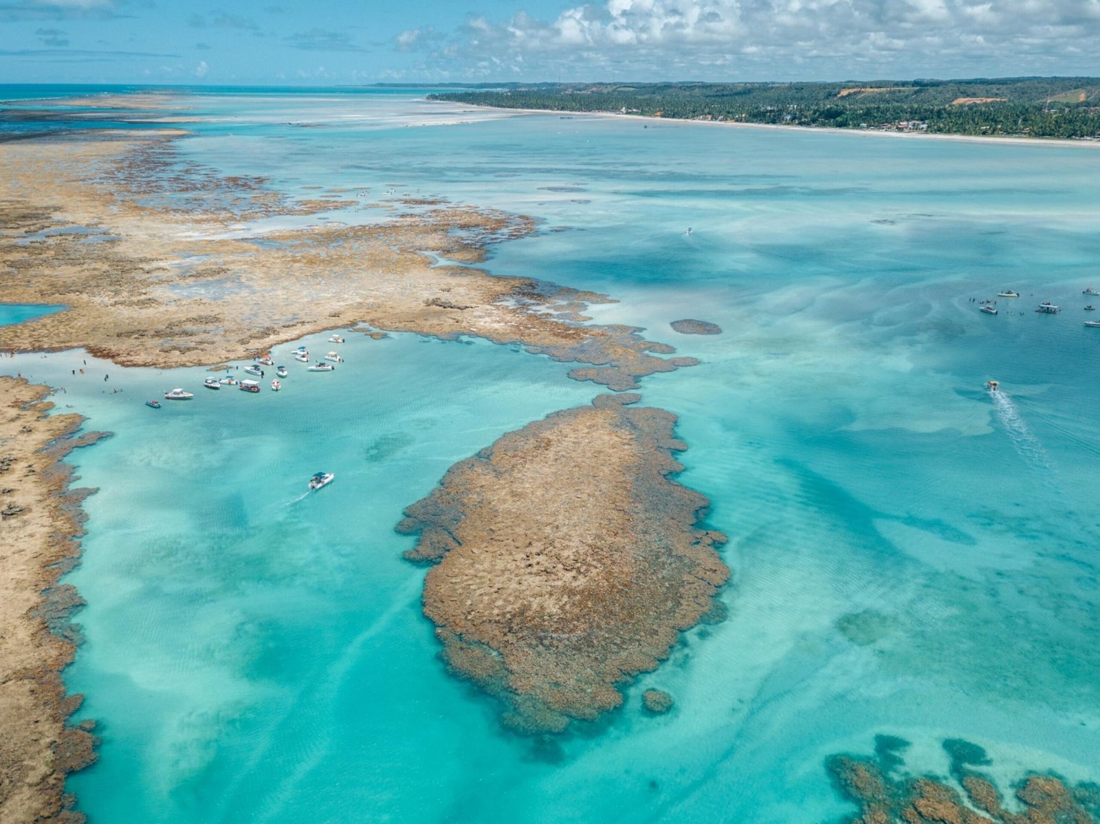 Read more about the article Destino dos sonhos: Maragogi se consolida como um dos destinos mais procurados por turistas brasileiros 
